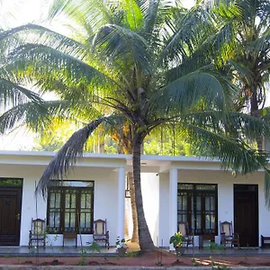 Shady Mango Bed & Breakfast Sigiriya